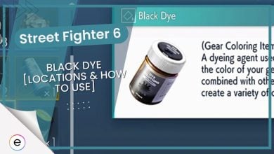 Black Dye Street Fighter 6