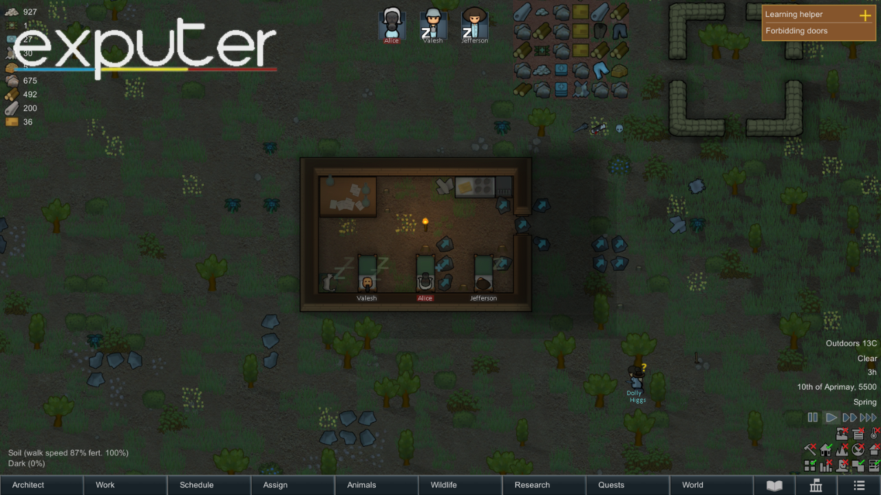 verdict - rimworld 