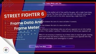 all about frame meter and frame data