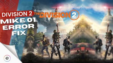 Fix division 2 mike 01 error