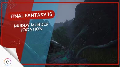 Muddy Murder Location FF16