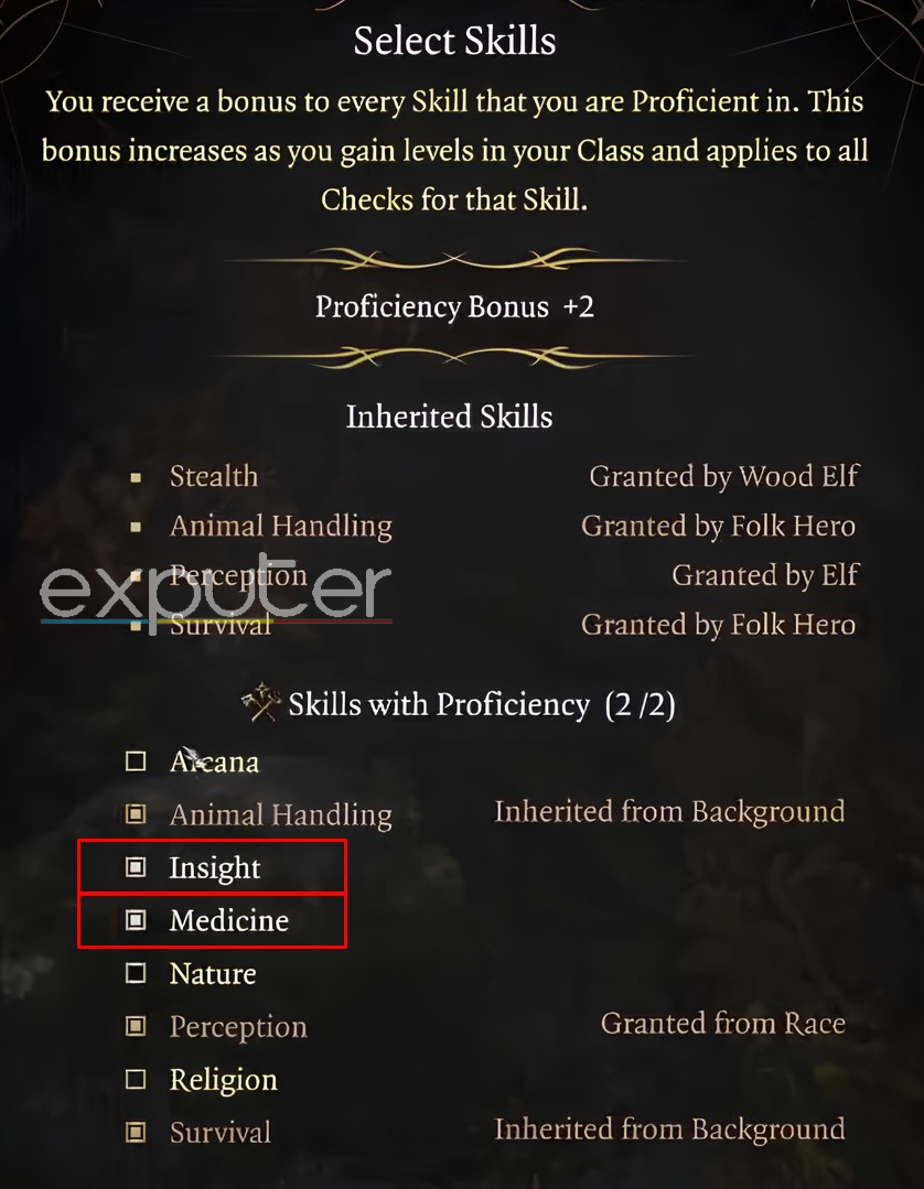 Druid Skills BG3