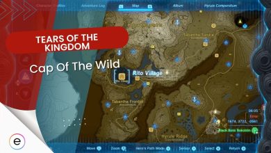 totk Guide cap of the wild