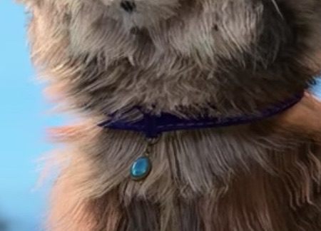 Tressym Collar