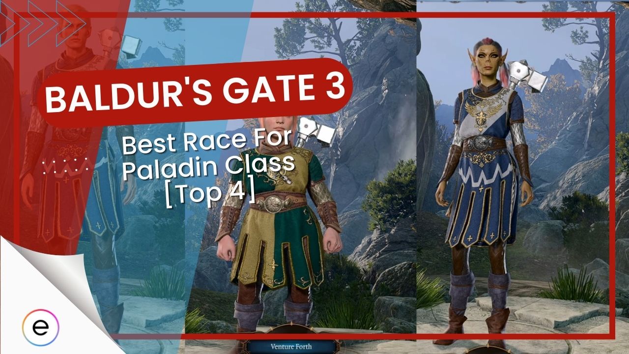 BG3 Ultimate Guide On The Best Race For Paladin Top 4 EXputer Com   BG3 Best Race For Paladin 