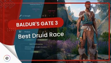 Baldur's Gate 3: Best Druid Race