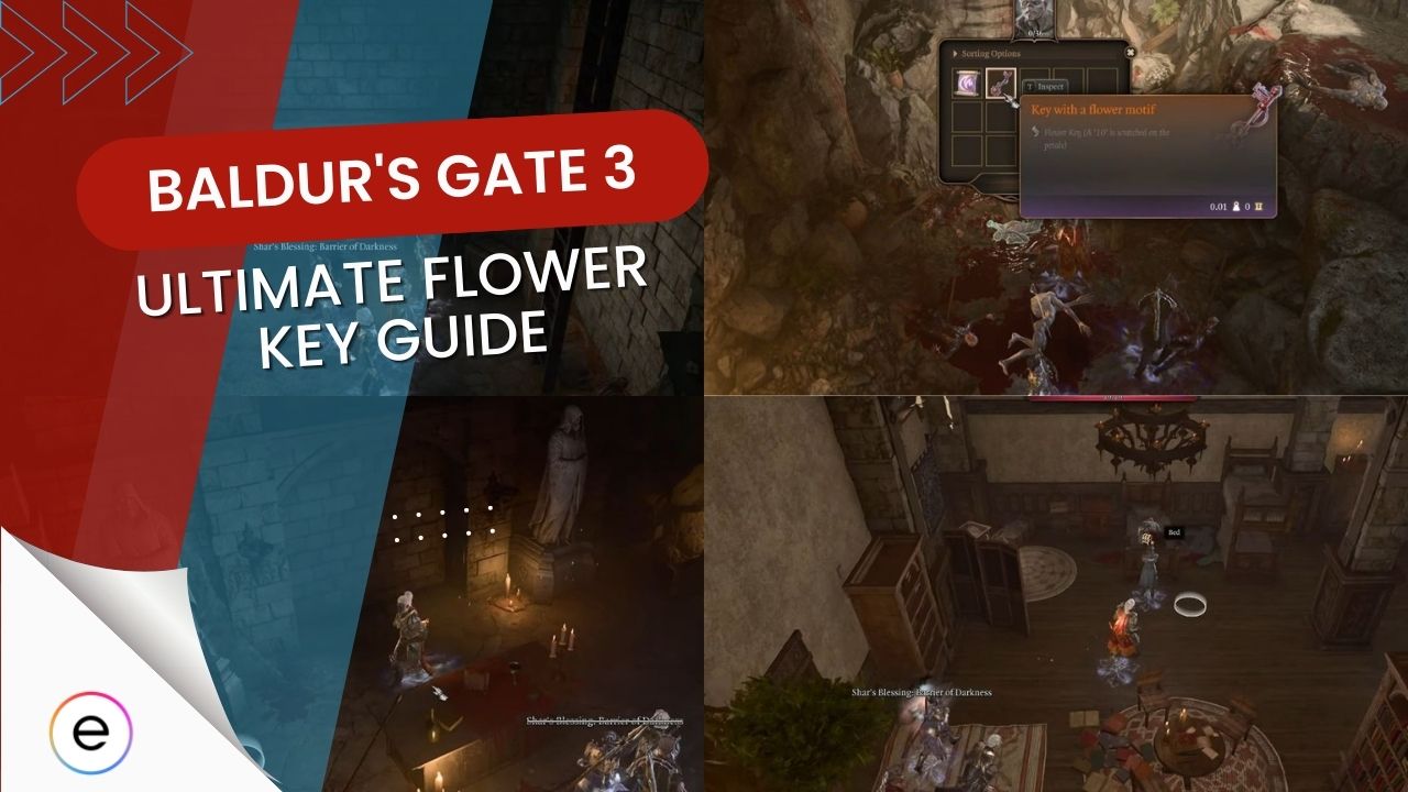 Baldur s Gate 3 How To Find The Flower Key EXputer