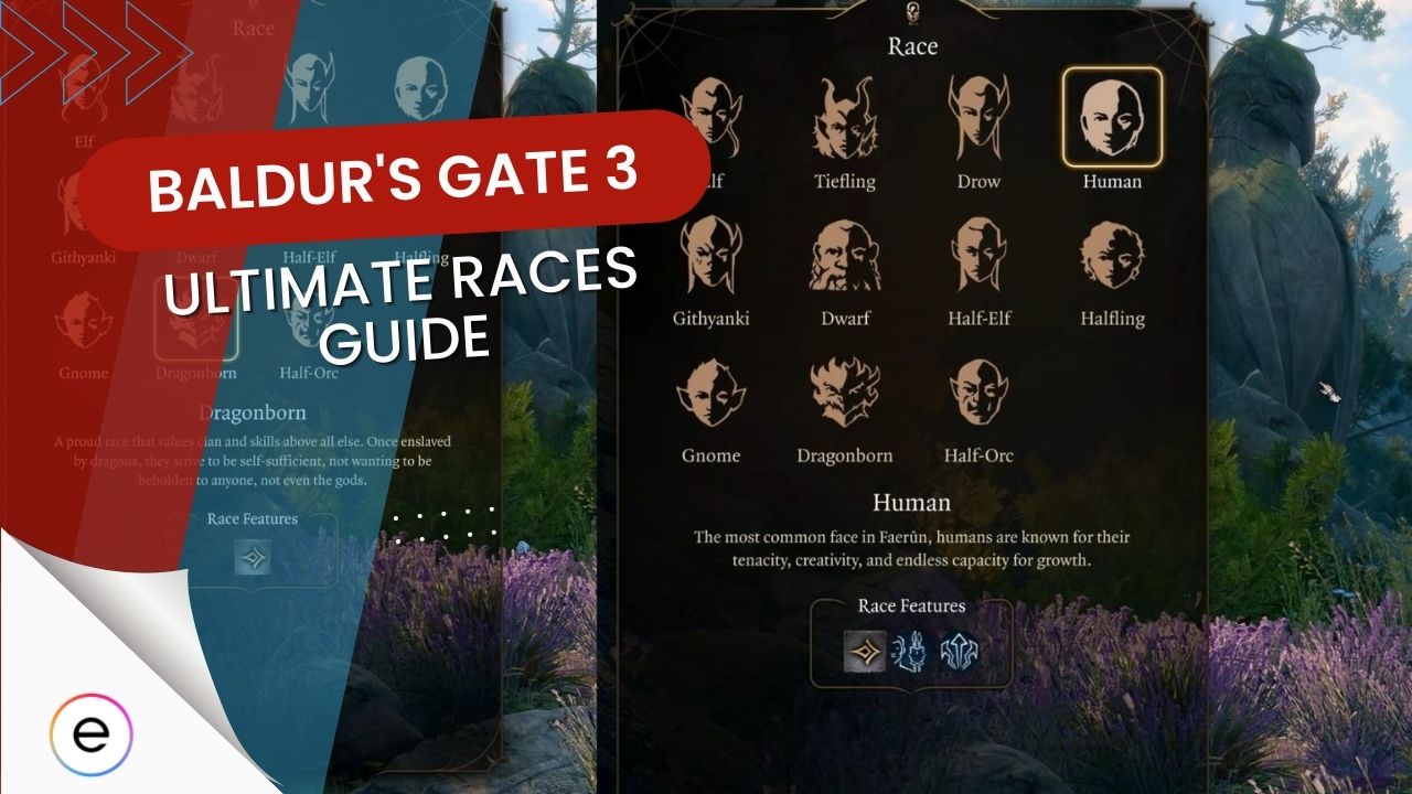 All 11 Baldur's Gate 3 Races [Features & Subraces] - EXputer.com