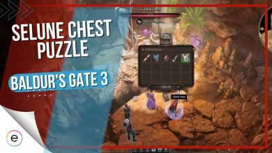 bg3 selune chest unlock