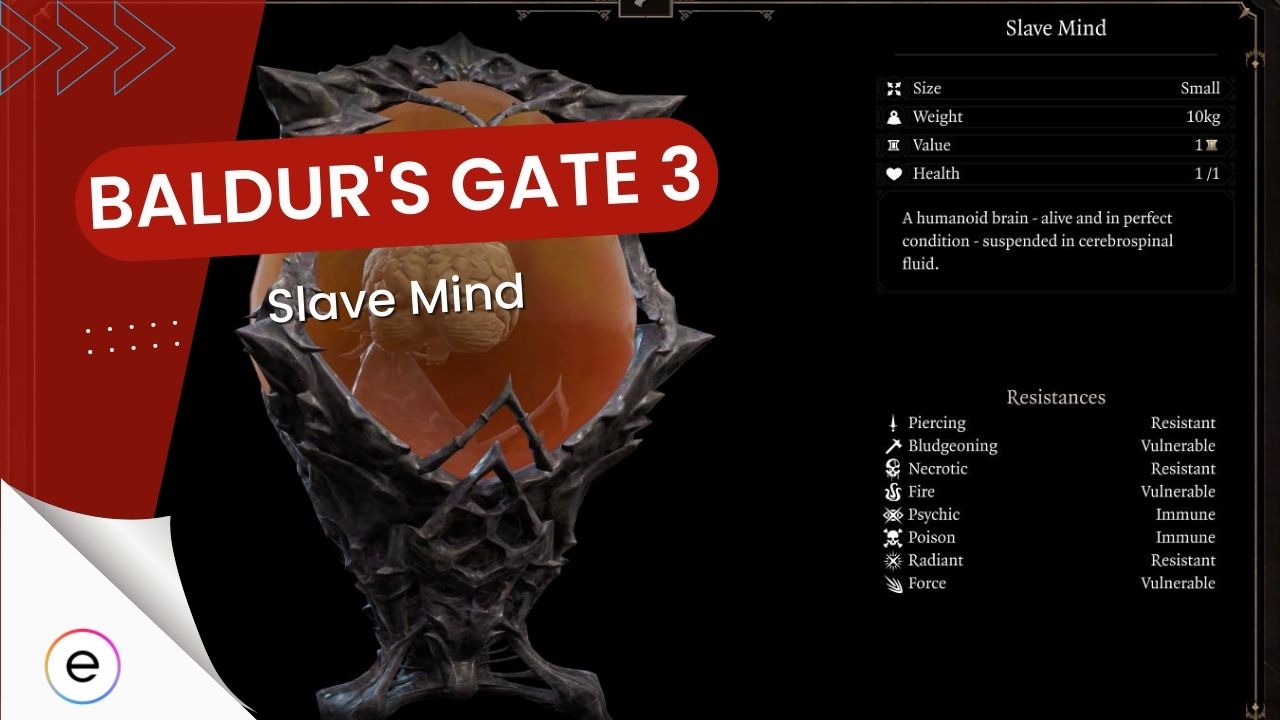 BG3: Slave Mind [How To Find & Uses] - eXputer.com