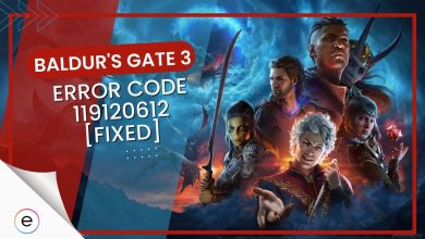 Baldur's gate Error Code 119120612 featured im