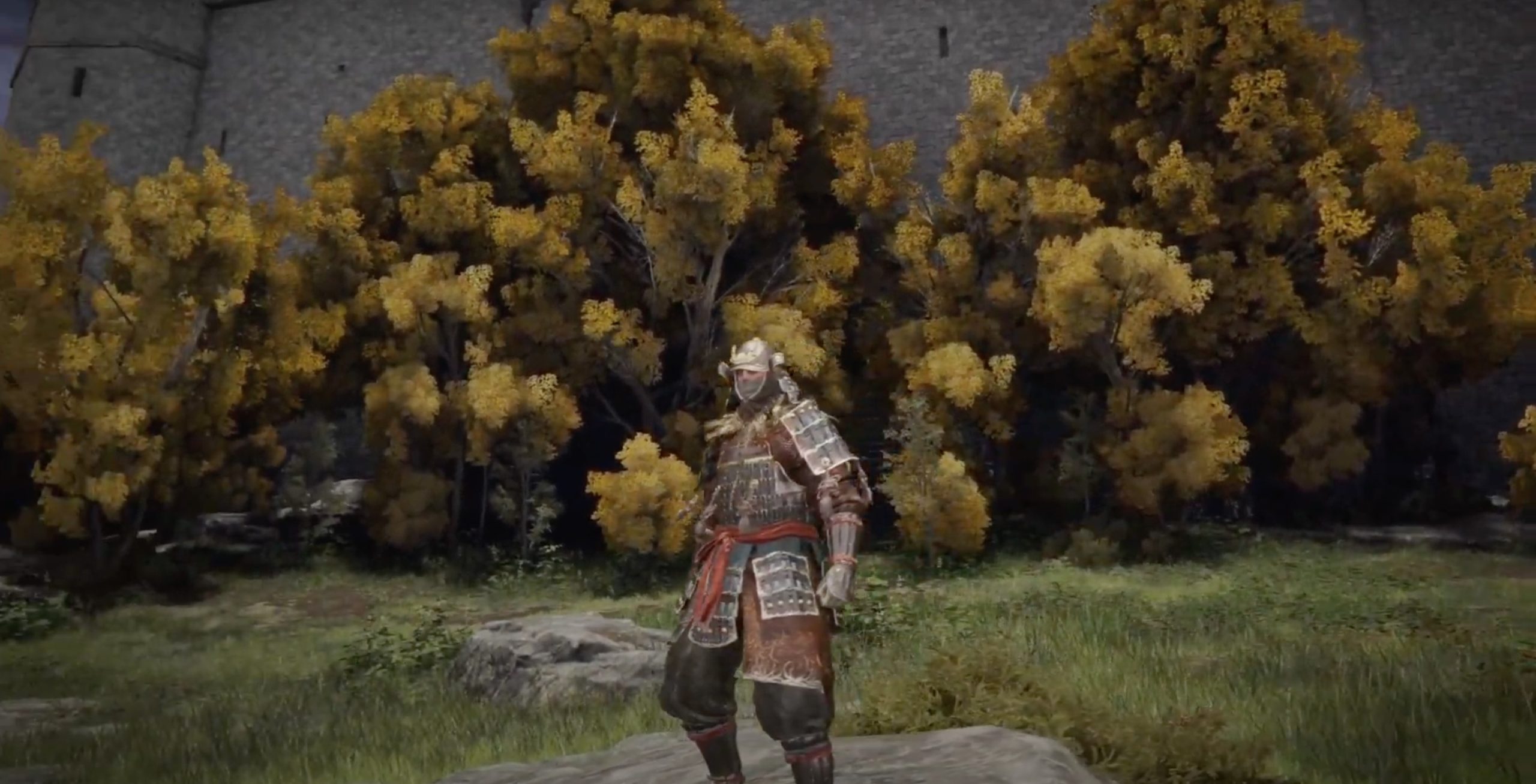 Land of Reeds Armor set