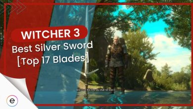 detailed information about all the silver swords in Witcher 3.