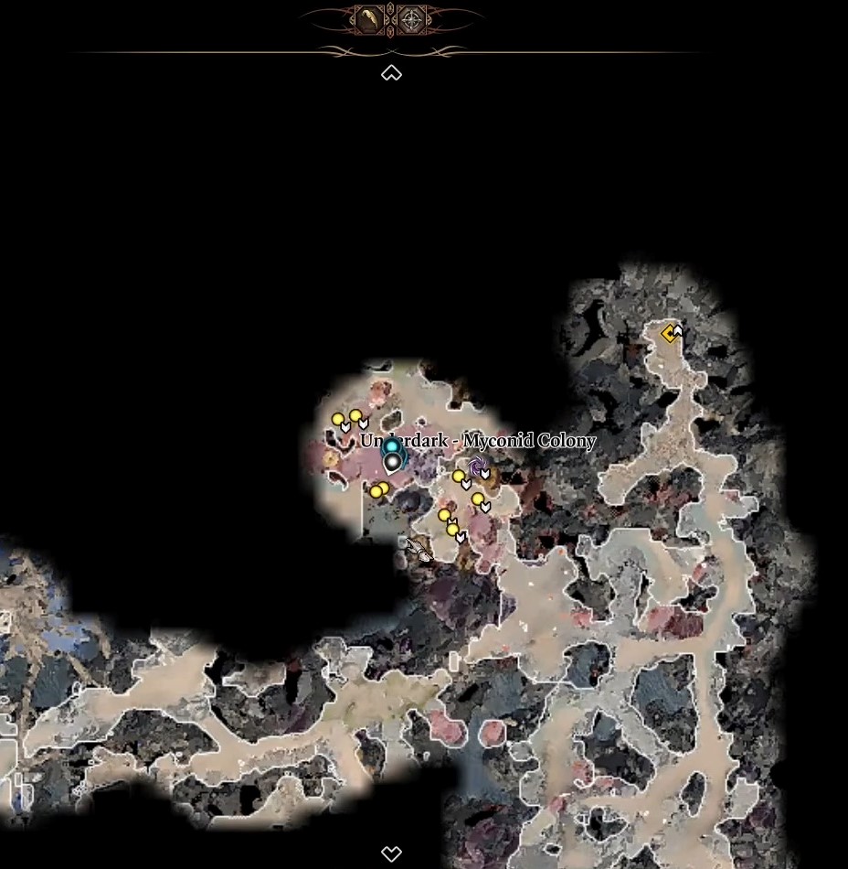 Baldur's Gate 3 Glut or Spaw Underdark 