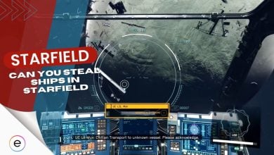 Can You Steal Ships In Starfield