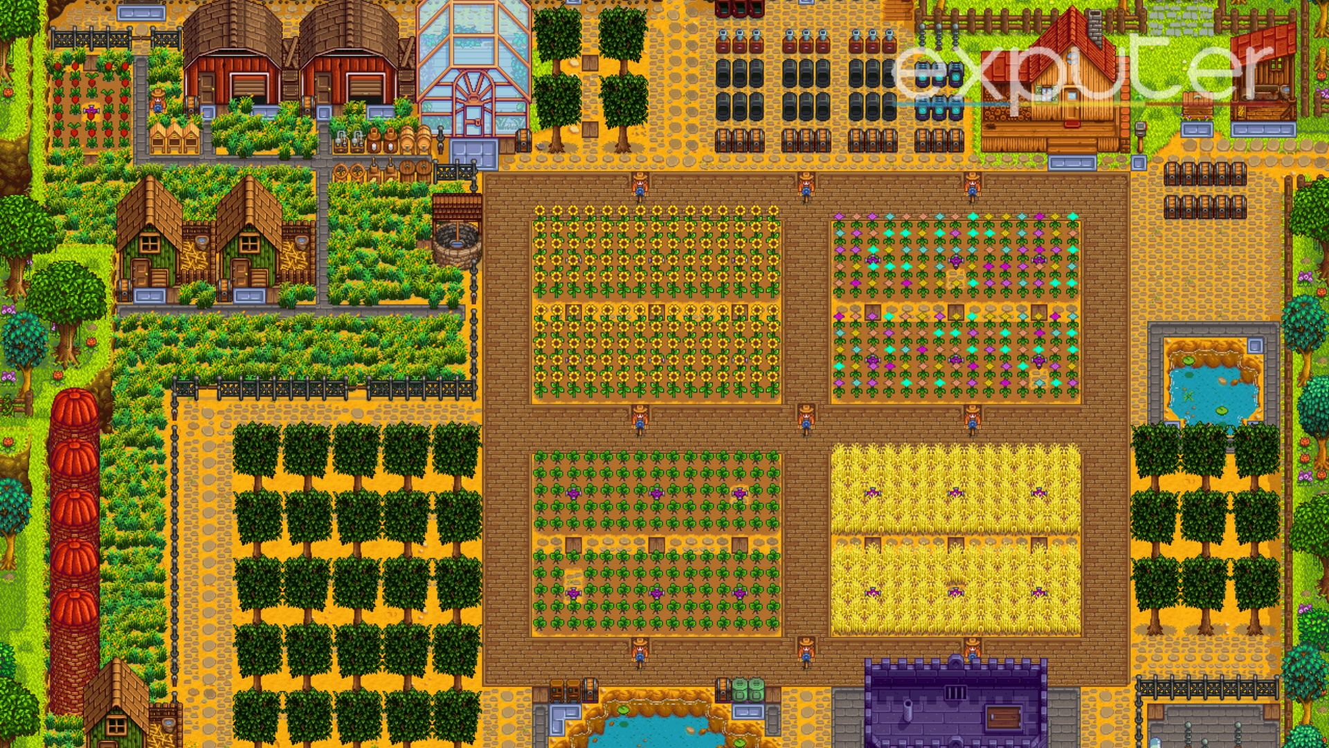 Stardew Valley Farm Layout