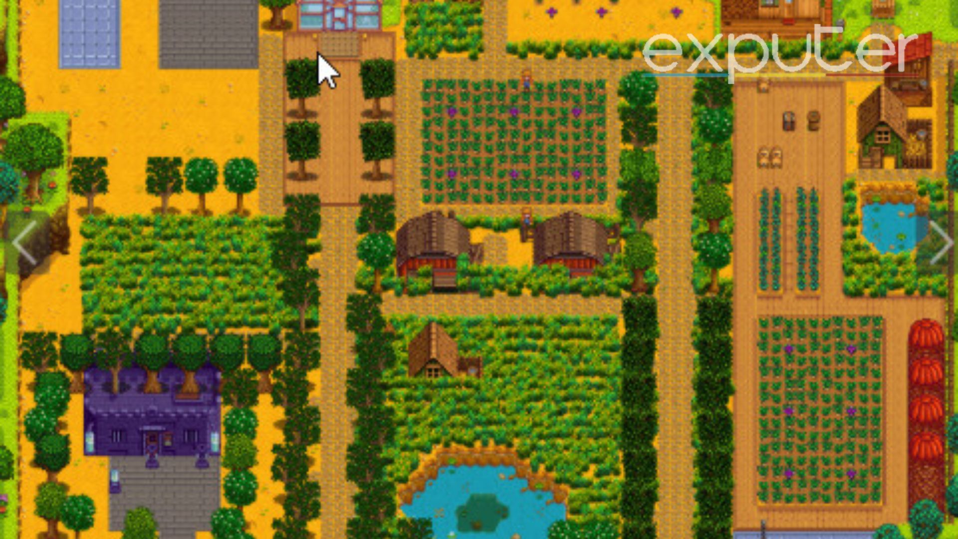 Stardew Valley Farm Layout