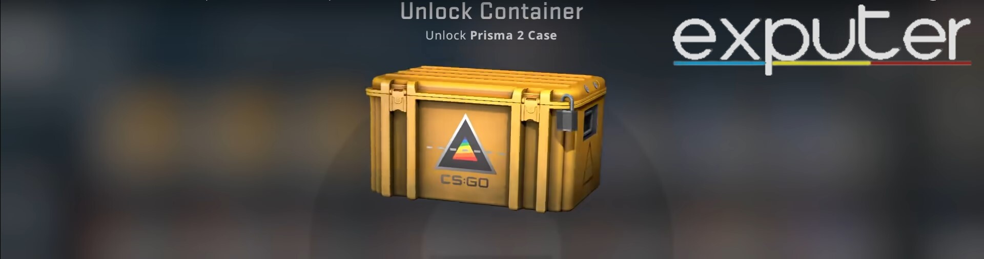 Prisma Case