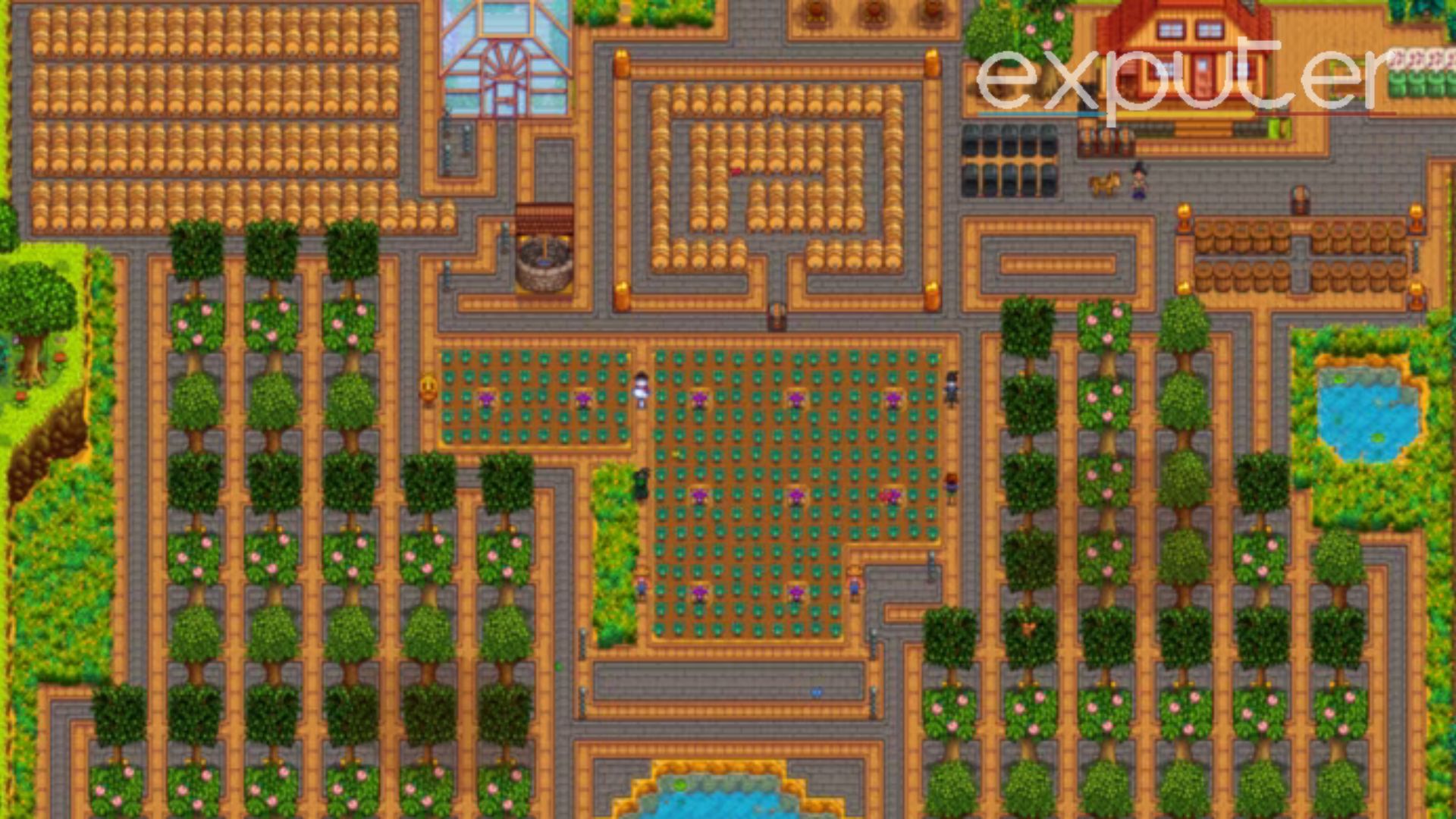 Stardew Valley Farm Layout