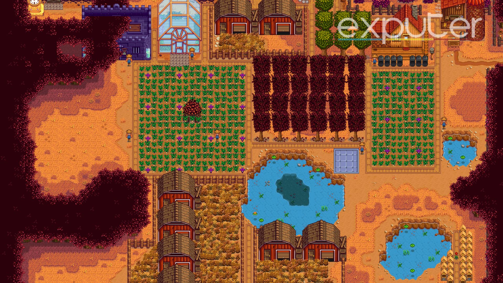 Stardew Valley Farm Layout