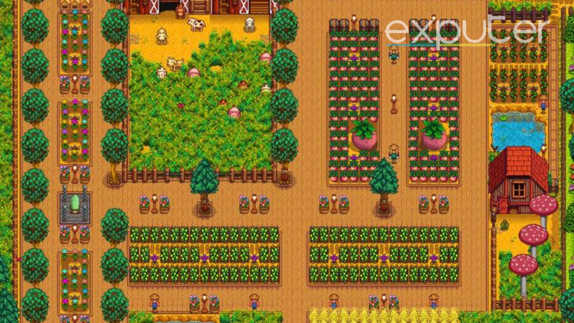 Stardew Valley Best Farm Layout