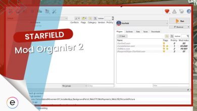 starfield mod organizer 2