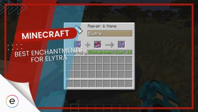 Best Enchantments for Elytra