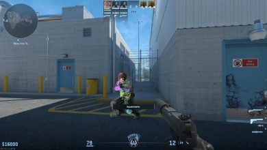 Hitbox misalignment discovered in Counter-Strike 2 (via CSGO.com)