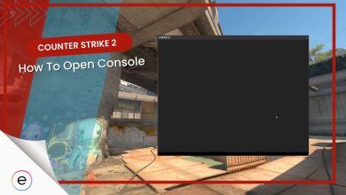 CS2 How To Open Console