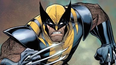 Wolverine From Marvel Comics