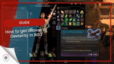 BG3 Gloves of Dexterity