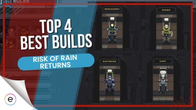 Risk of rain returns best builds.