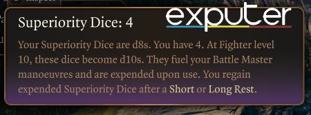 4x Superiority Dice