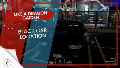 black car like a dragon gaiden