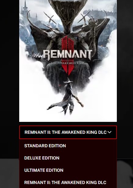 remnant 2 game version