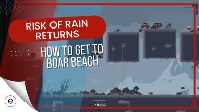 boar beach risk of rain returns