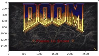 Doom on E. Coli cells