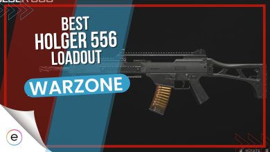 Holger 556 Warzone best loadout