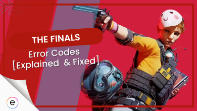 the finals error codes