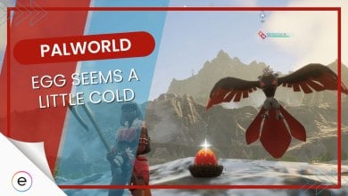 Palworld Egg Seems a Little Cold