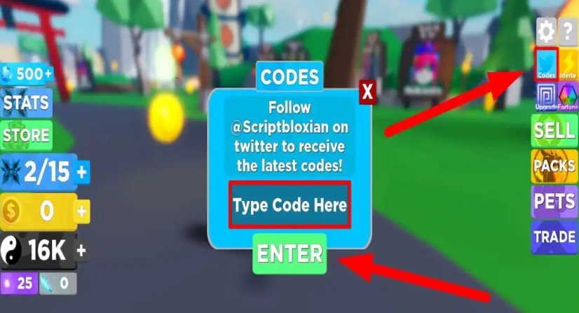 The screen that appears while redeeming codes.