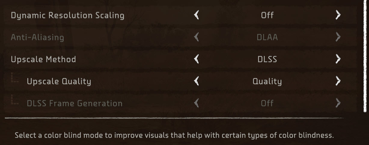 Horizon Forbidden west Display Settings 2