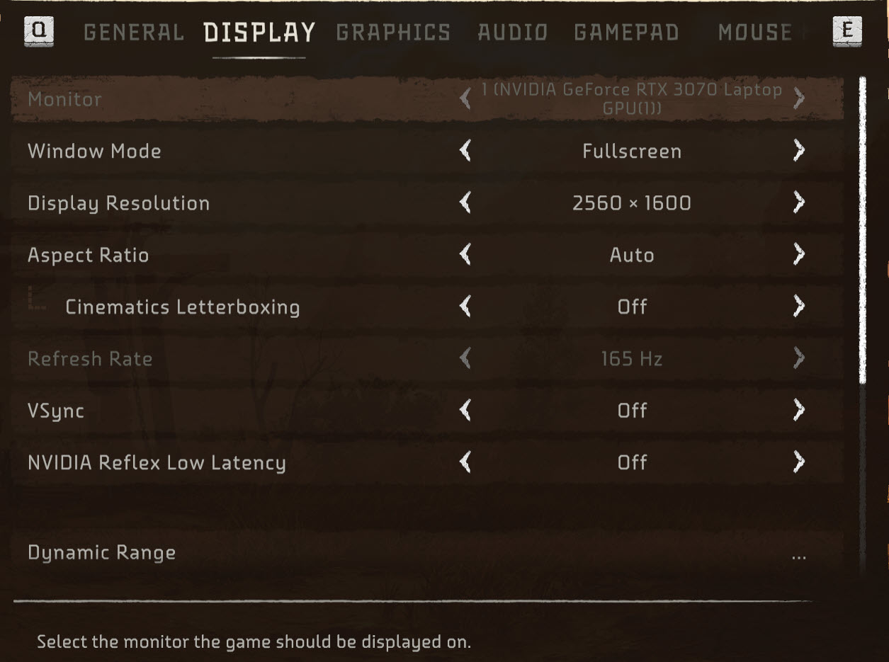 Horizon Forbidden west Display Settings