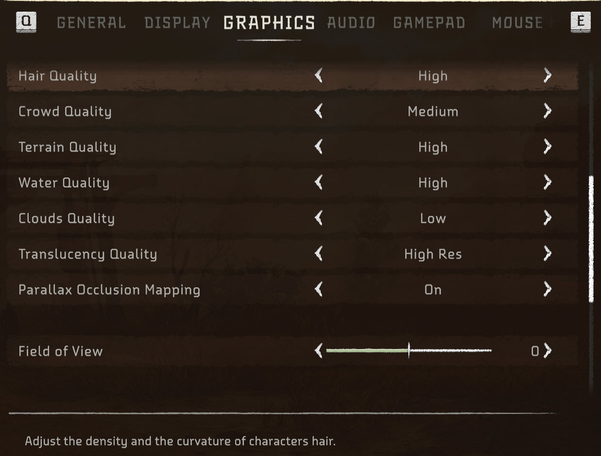 Horizon Forbidden west Graphics Settings 2