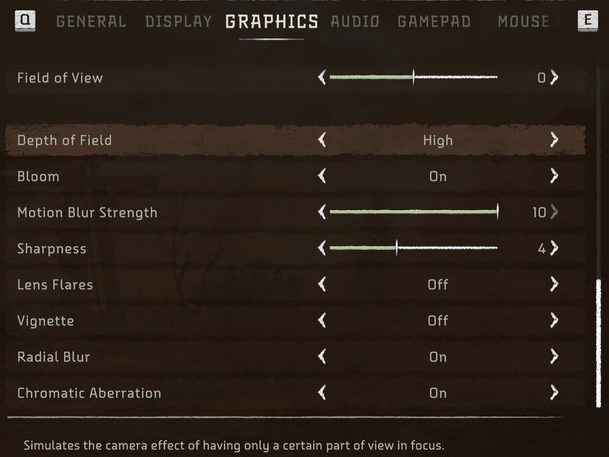 Horizon Forbidden west Graphics Settings 3