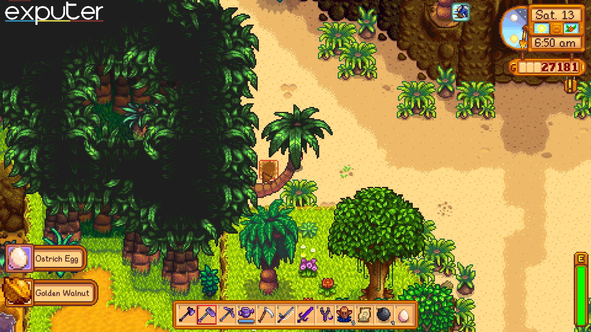 Ostrich Egg Location Stardew Valley