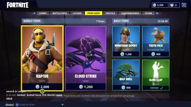 Fortnite Microtransactions