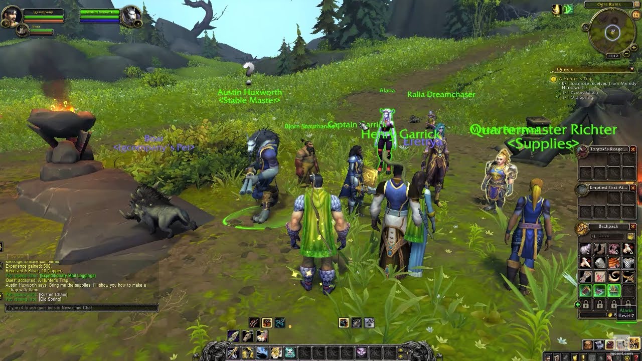 MMORPG at its peak | Source: YouTube