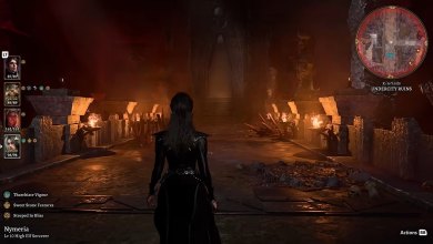 Baldur's Gate 3 Third Person