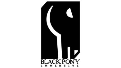 Black pony Immersive
